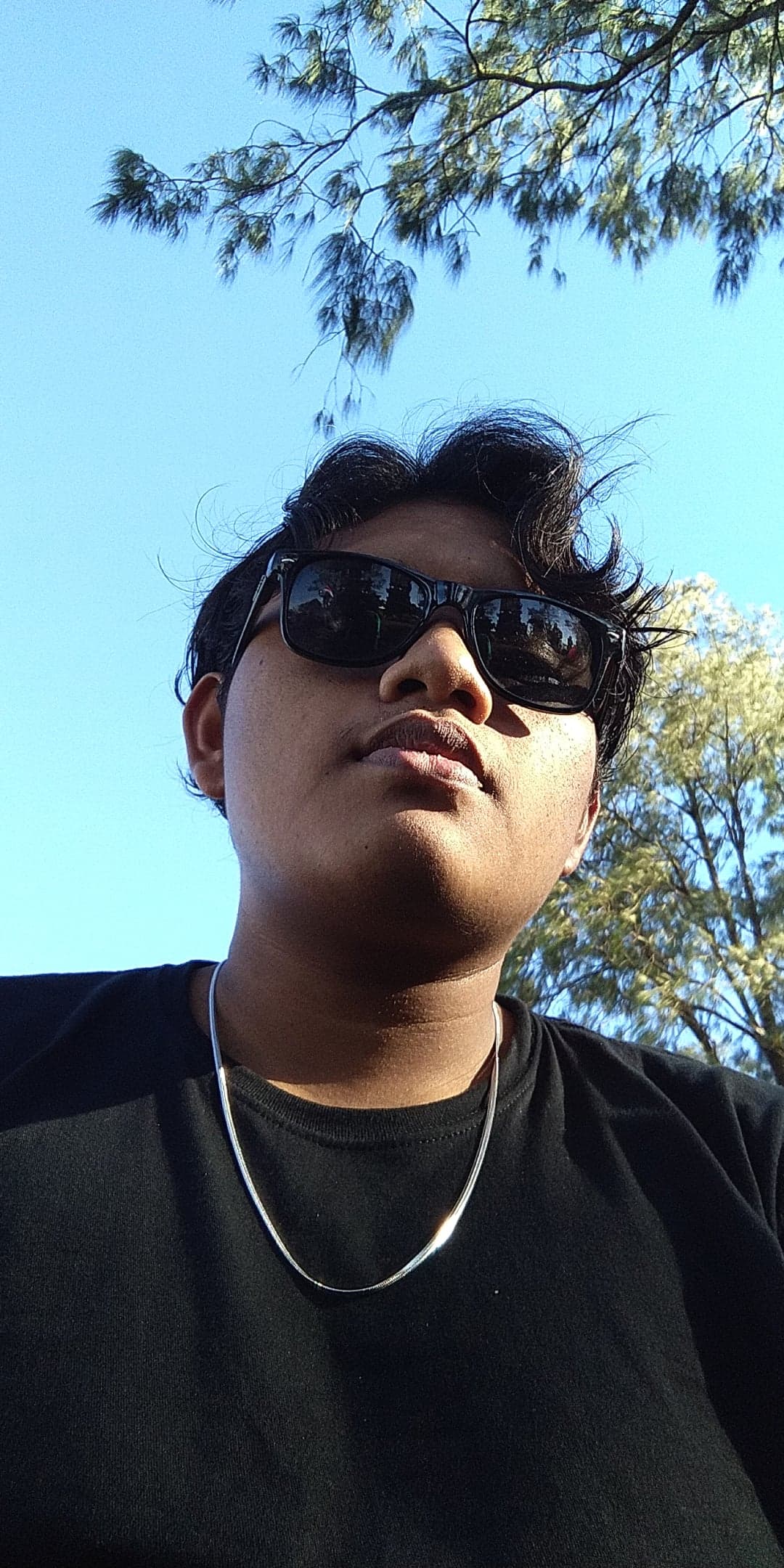 Portfolio showcase 1